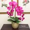 Real Touch Phalaenopsis Orchid Stem: Set of 2, 33.5-Inch, Floral Home by Artificial Flowers